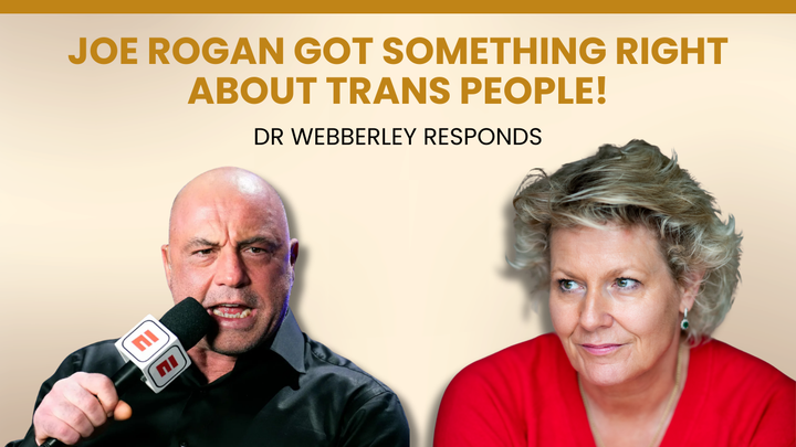 Joe Rogan, I Would Love to Talk to You